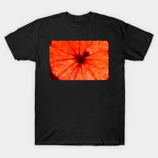 Red Abstract Fruit T-Shirt